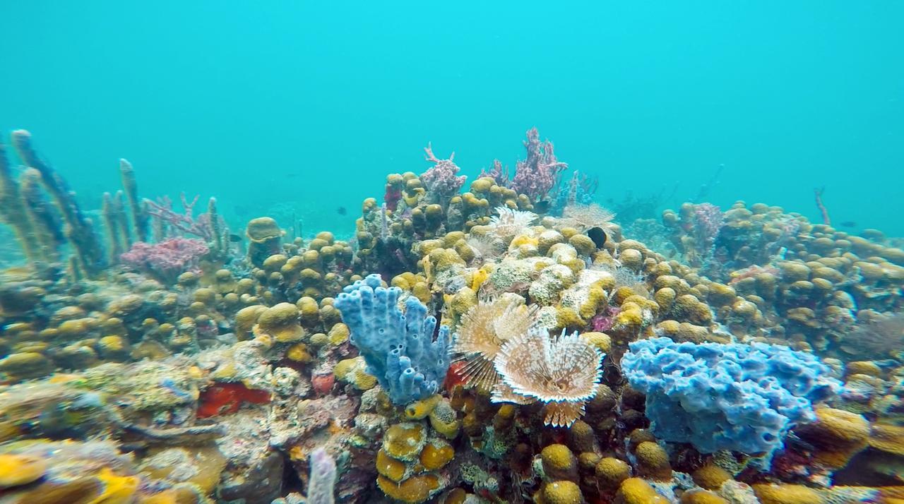Azul Paradise Bastimentos Zewnętrze zdjęcie